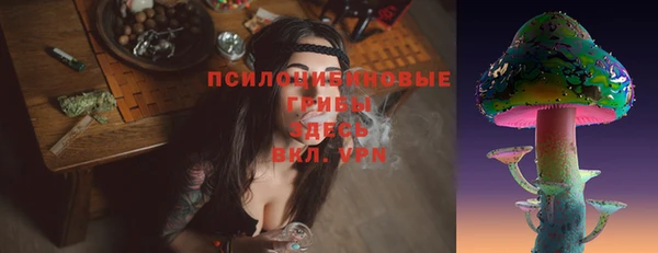 дурь Верея