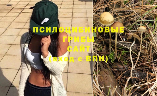 прущие крисы Верхнеуральск