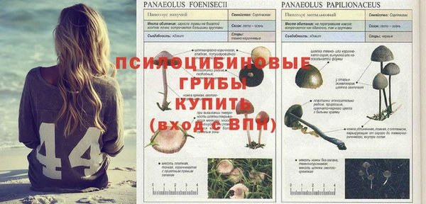 mdpv Верхний Тагил
