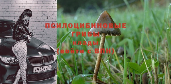 дурь Верея