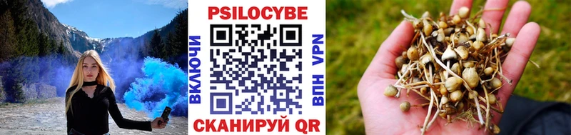 Галлюциногенные грибы ЛСД  Перевоз 